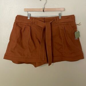NWT Rye Grass Sierra Brown Shorts. SZ 22W